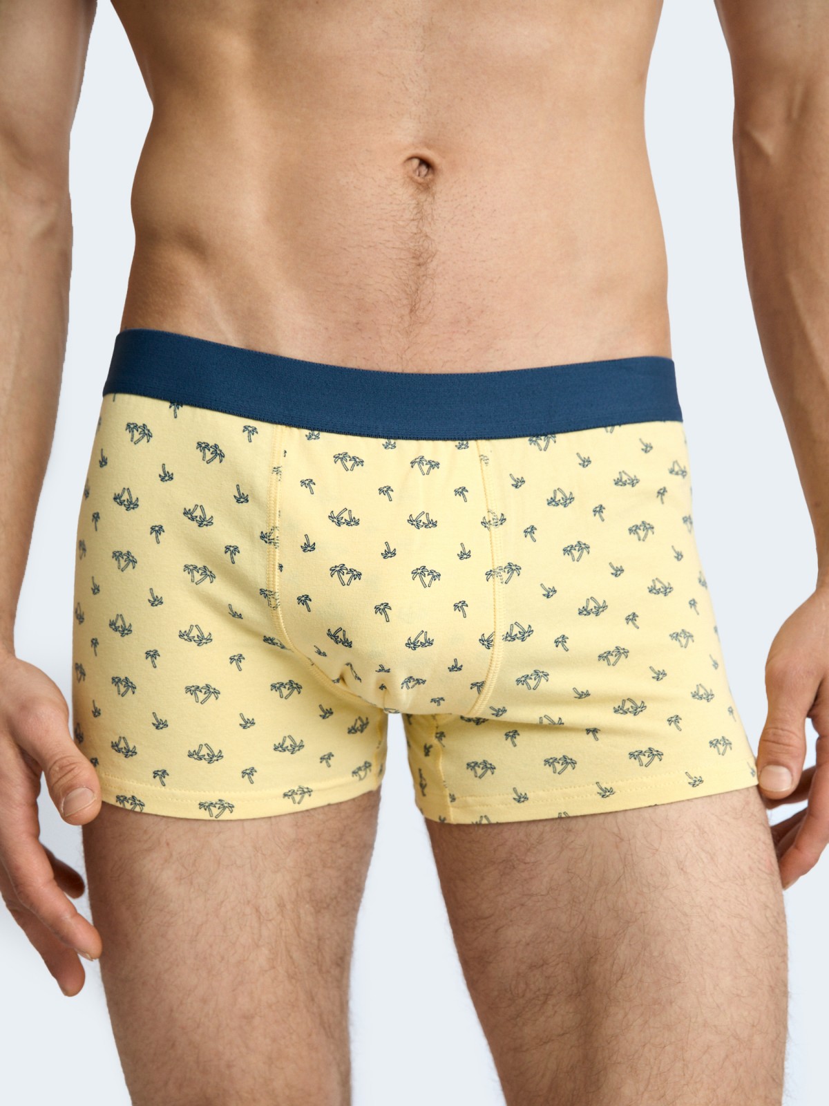 Набор трусов из хлопка (3 шт. в комплекте)