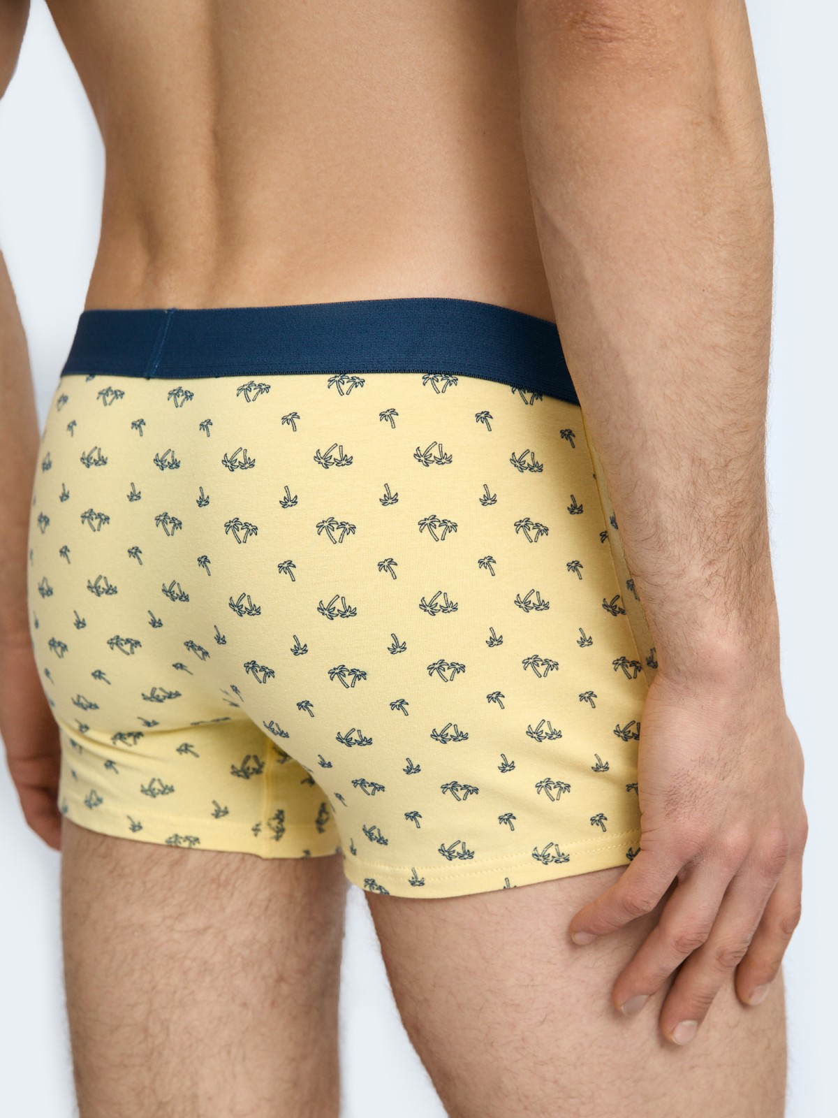 Набор трусов из хлопка (3 шт. в комплекте)