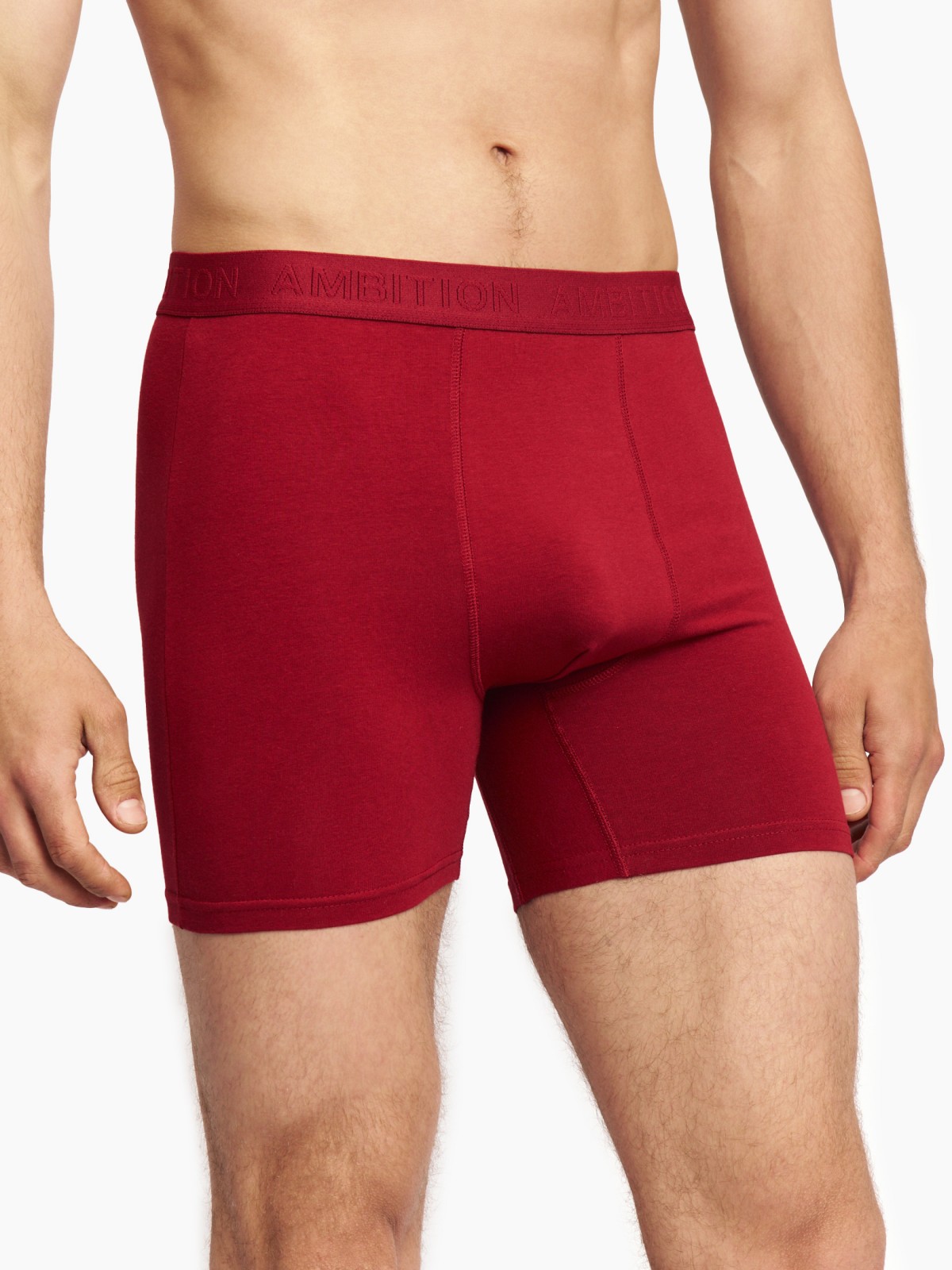 Набор удлинённых трусов (3 шт. в комплекте)