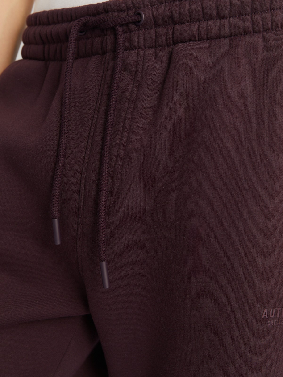Утеплённые брюки-джоггеры на резинке с начёсом внутри zolla 213437679022, цвет сливовый, размер S - фото 4