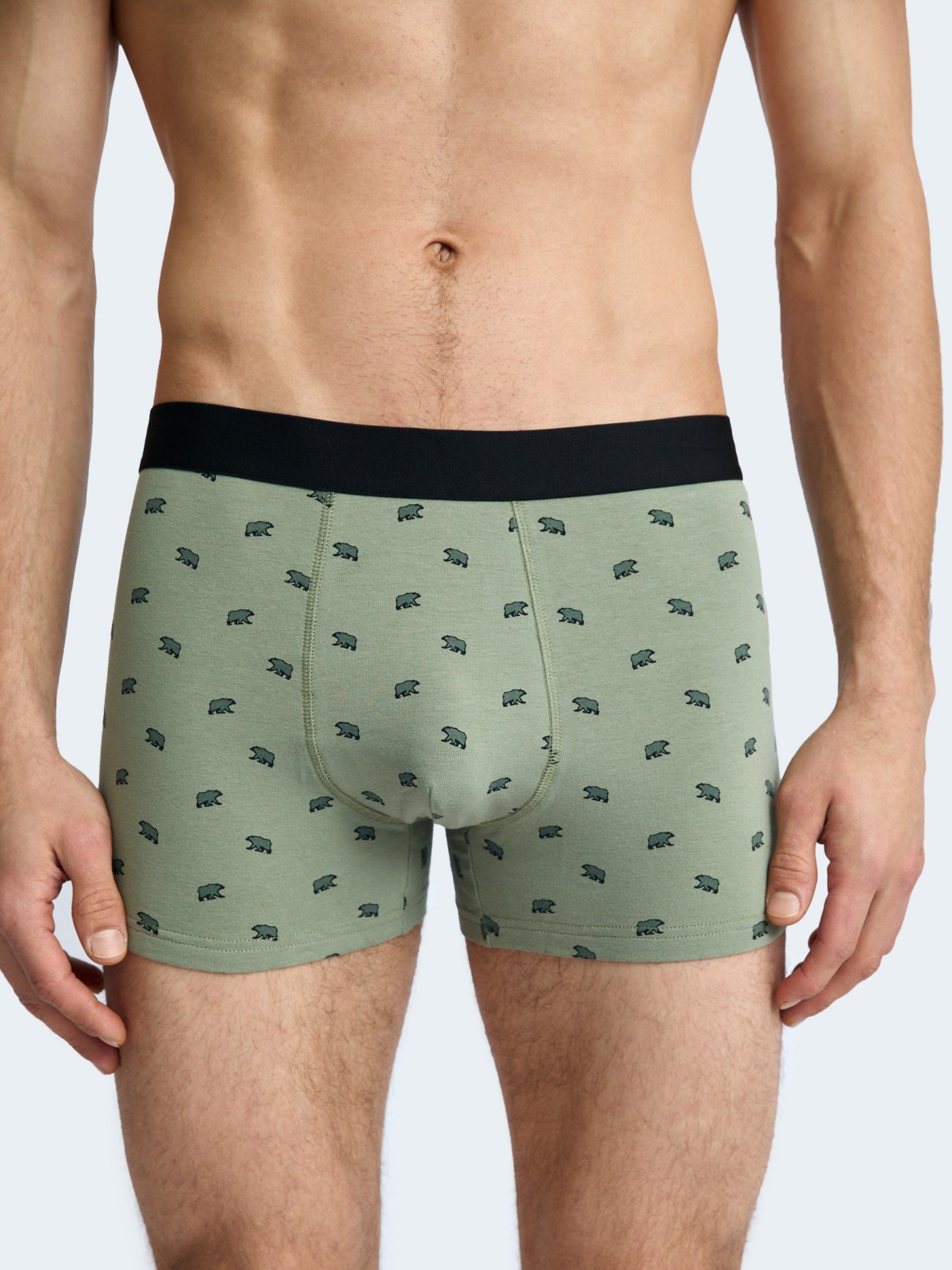 Набор трусов из хлопка (3 шт. в комплекте)