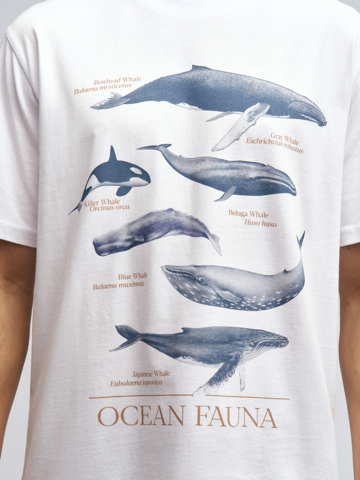 Футболка из хлопка с принтом